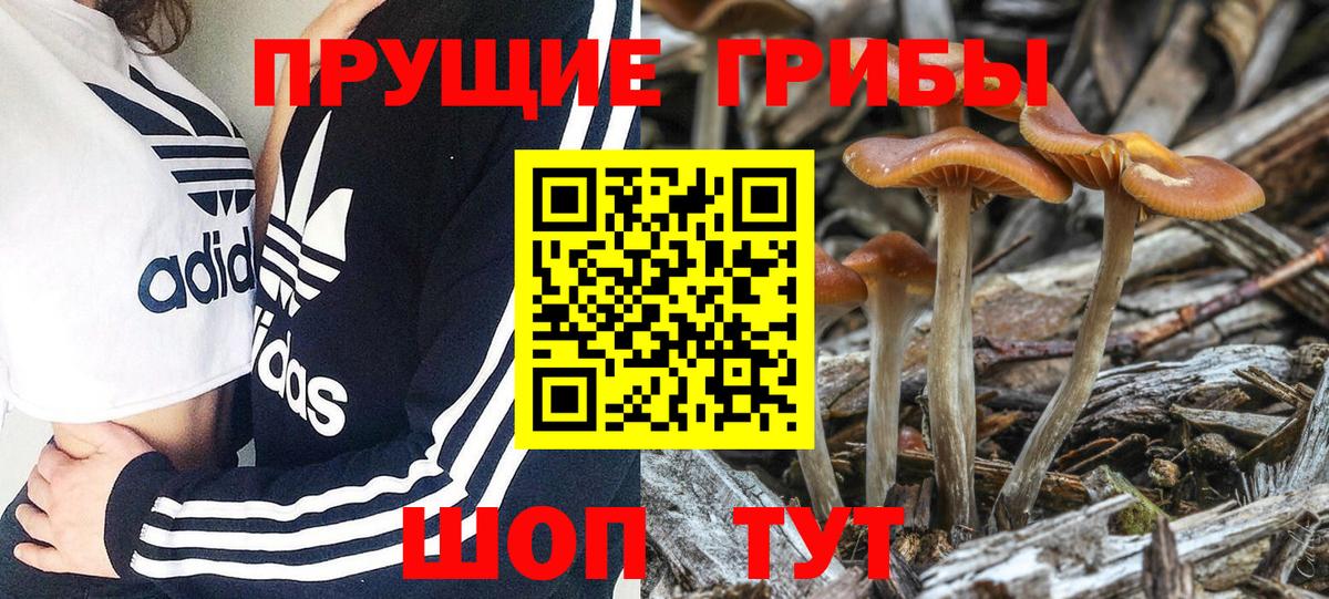 Псилоцибиновые грибы мицелий Железногорск
