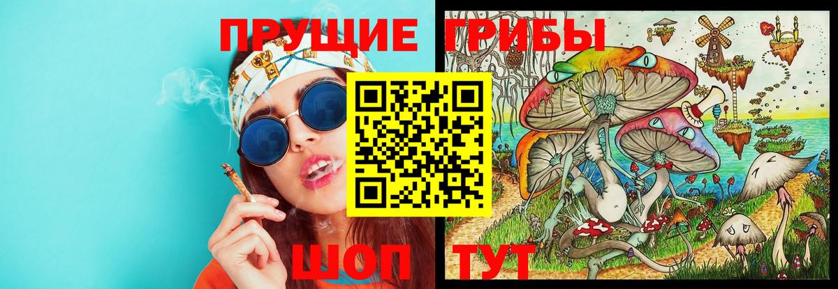 Железногорск  Галлюциногенные грибы мицелий  Вход с VPN 
